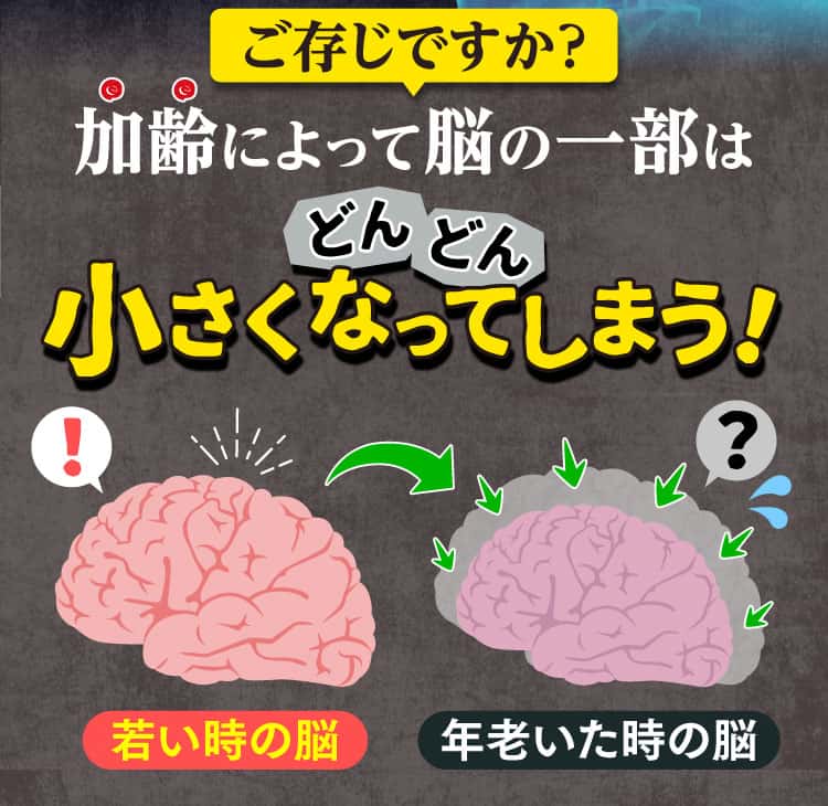 加齢によって脳の一部はどんどん小さくなってしまう！