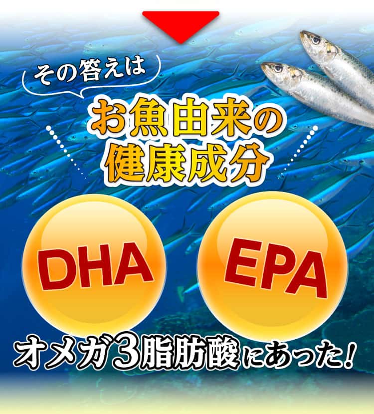 その答えはお魚由来健康成分のオメガ3脂肪酸にあった
