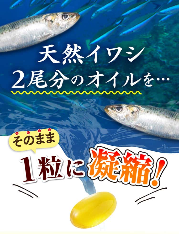 天然イワシ2尾分のオイルをそのまま1粒に凝縮