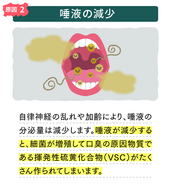 原因2　唾液の減少