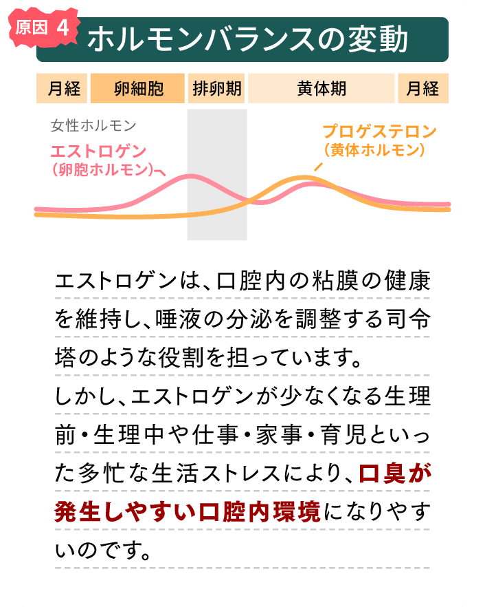原因4　ホルモンバランスの変動