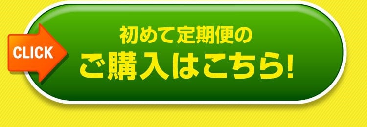 ご購入はこちら
