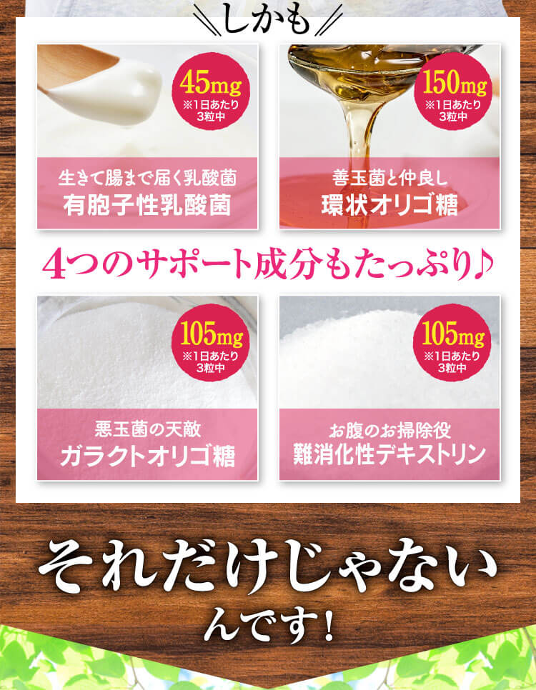 有胞子性乳酸菌、環状オリゴ糖、ガラクトオリゴ糖、食物繊維含有デキストリン
