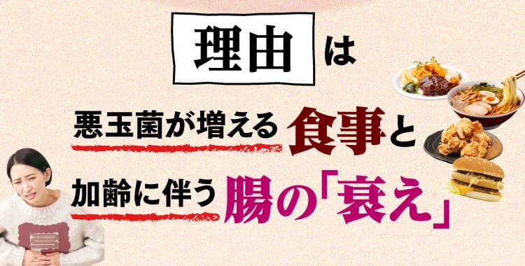 理由は悪玉菌を増やす食事と加齢に伴う腸の「衰え」