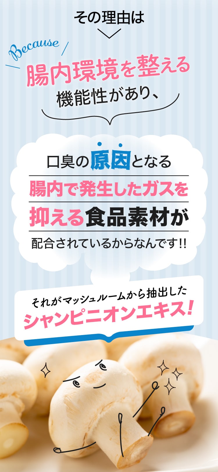 腸内環境を整える機能性があり、腸内ガスを抑える食品素材を配合！それがシャンピニオンエキス！