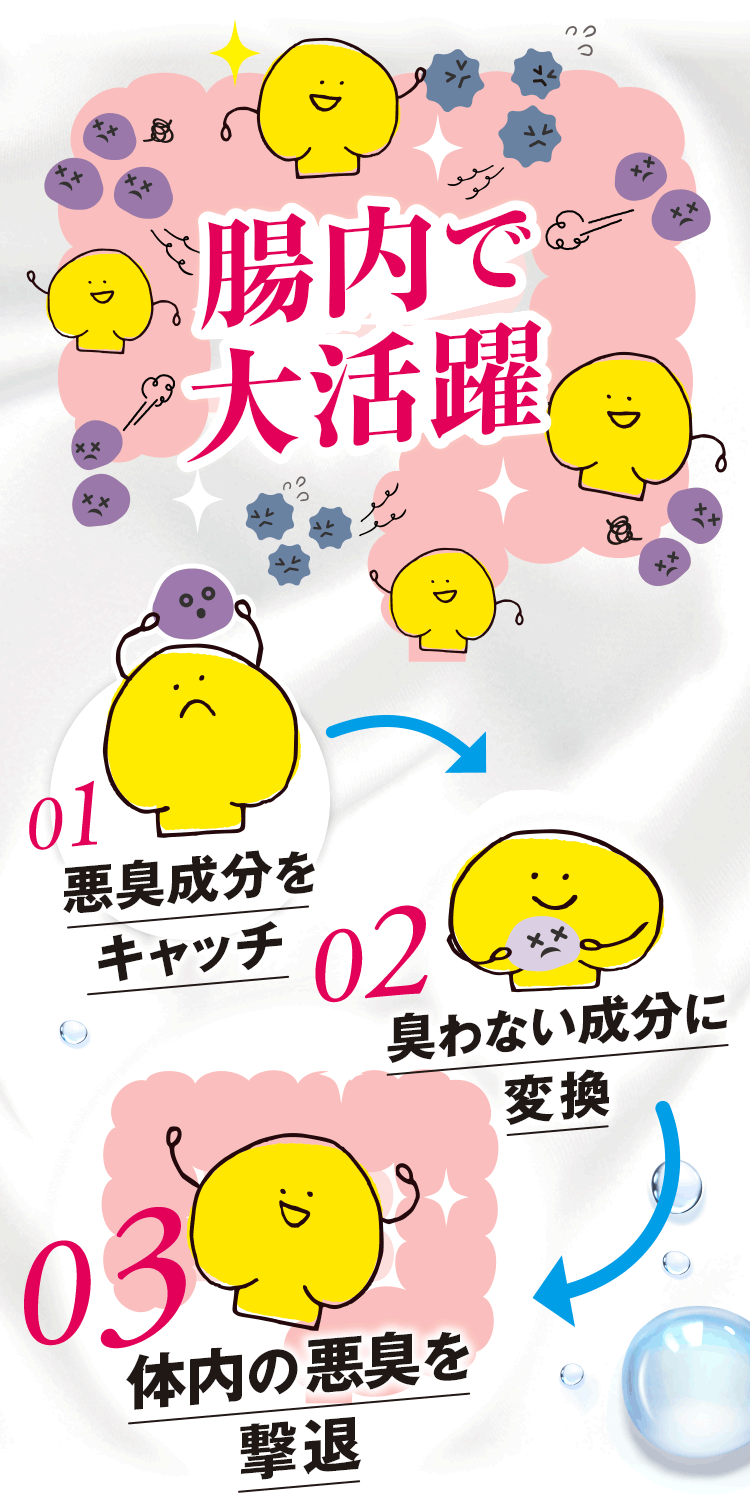 アニメ：腸内で大活躍　悪臭成分をキャッチし、臭わない成分に変換。体内の悪臭を撃退。