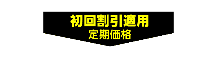 初回割引適用定期価格