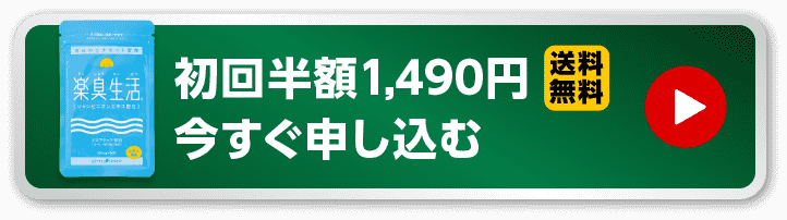 初回半額1,490円（送料無料）今すぐ申し込む