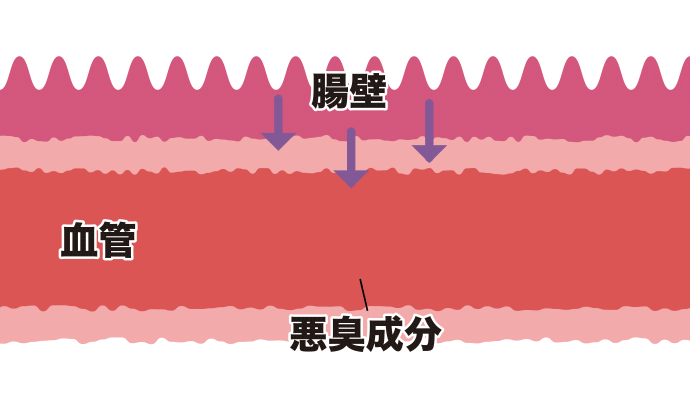 アニメ：悪臭が血液に乗って全身へ