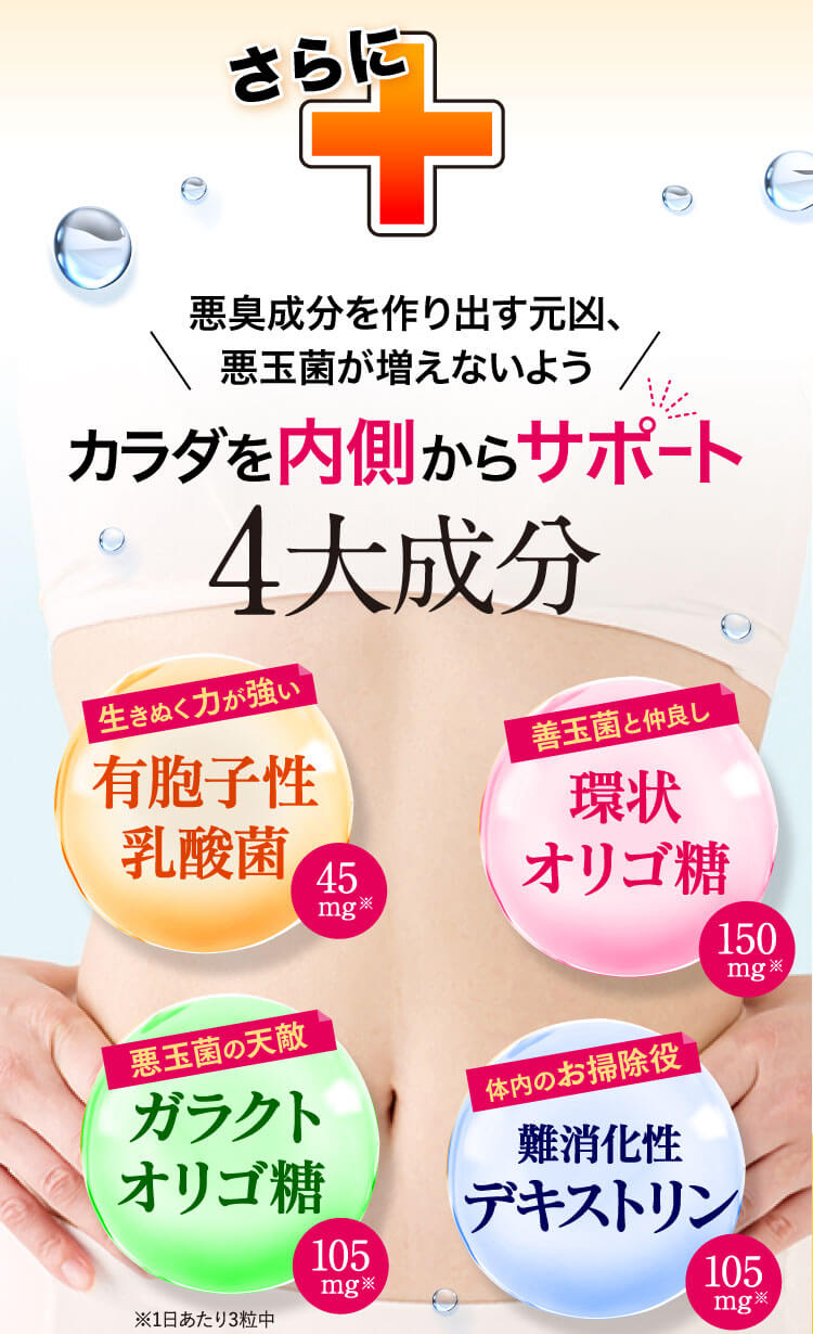 体を内側からサポートする4大成分