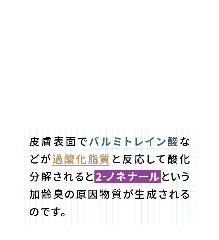 皮膚表面でバルミトレイン酸などが過酸化脂質と反応して酸化分解されると2-ノネナールという加齢臭の原因物質が生成されるのです。