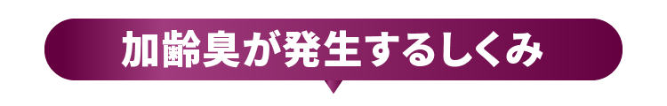 加齢臭が発生するしくみ