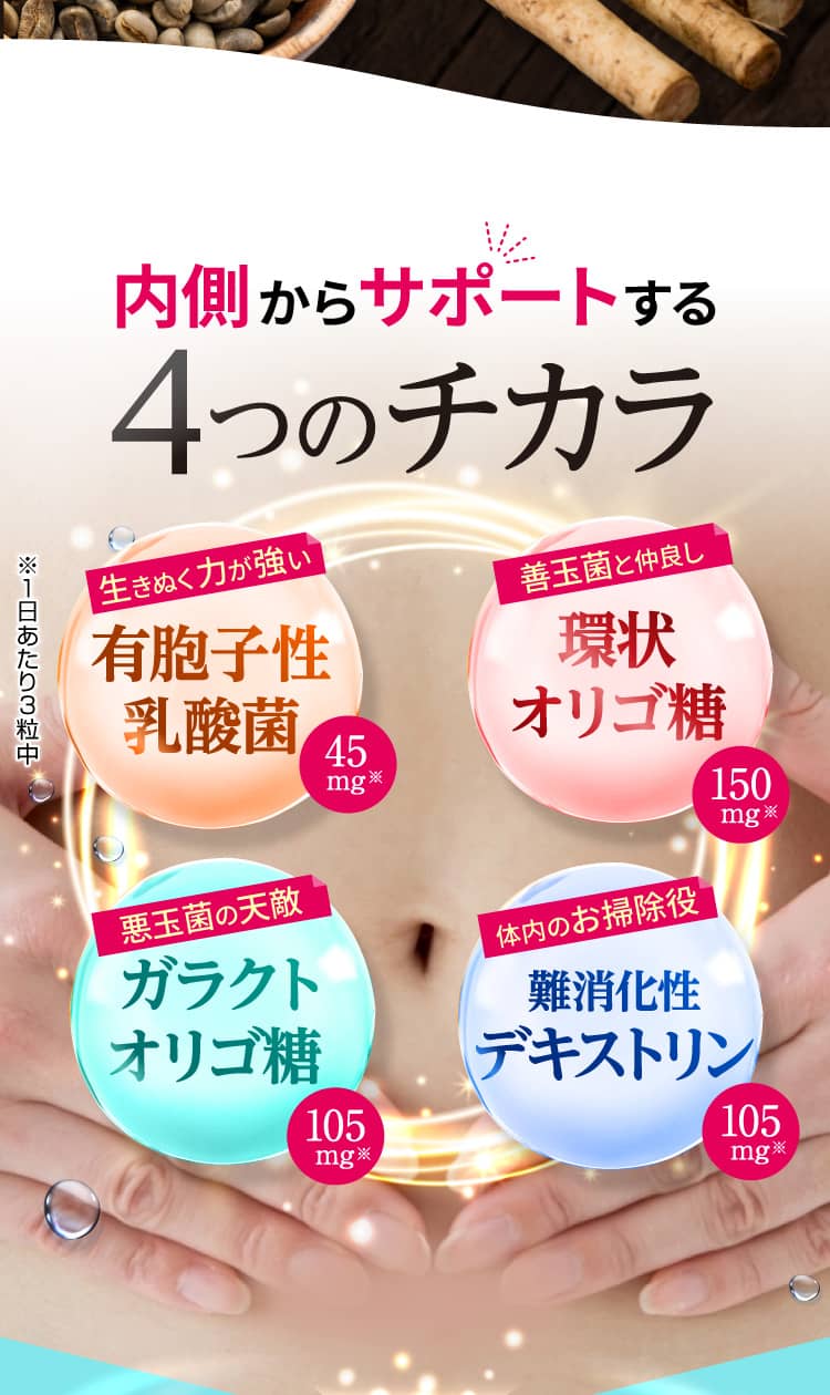 内側からサポートする4つのチカラ