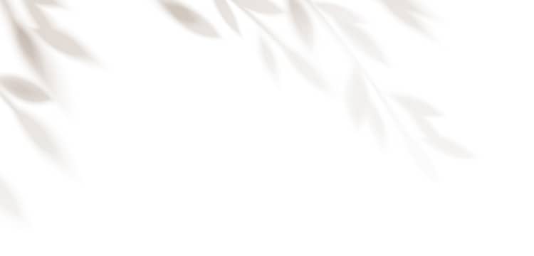 背景イメージ