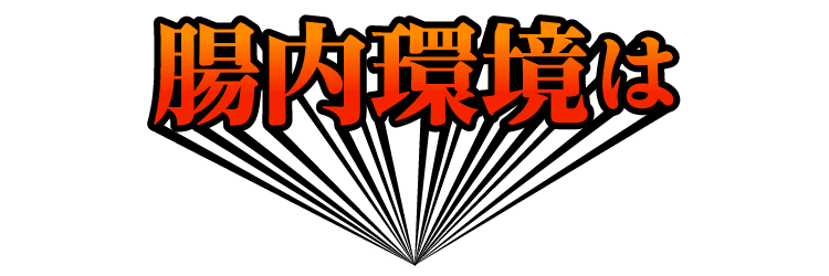 腸内環境は