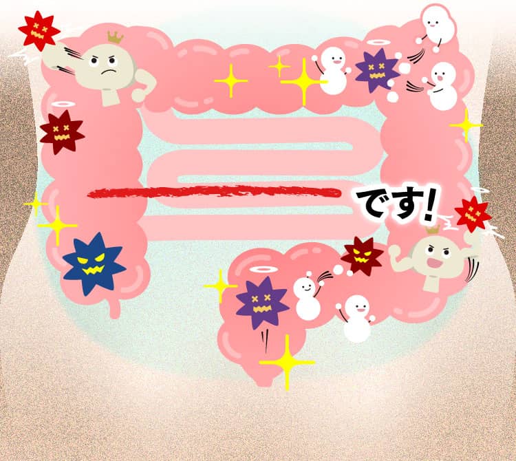 腸内イメージ