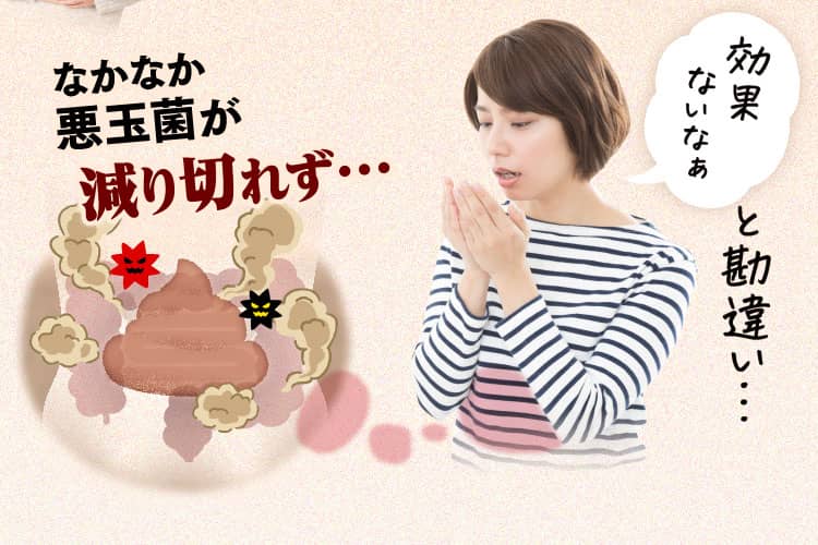 なかなか悪玉菌が減り切れず効果ないなぁ…と勘違い…