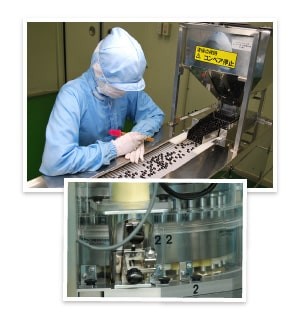 製造ラインで粒を検品している様子