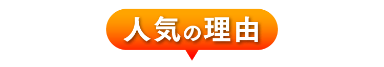 人気の理由