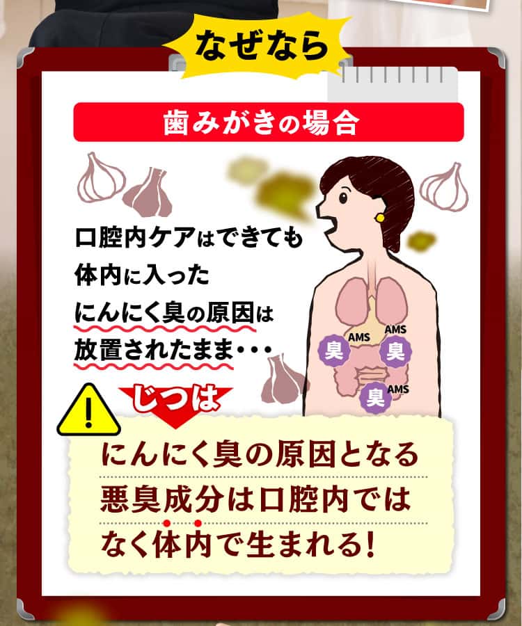 にんにく臭の原因の悪臭成分は体内で生まれる！