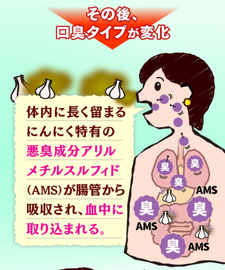 悪臭成分アリルメチルスルフィドが血中に取り込まれる