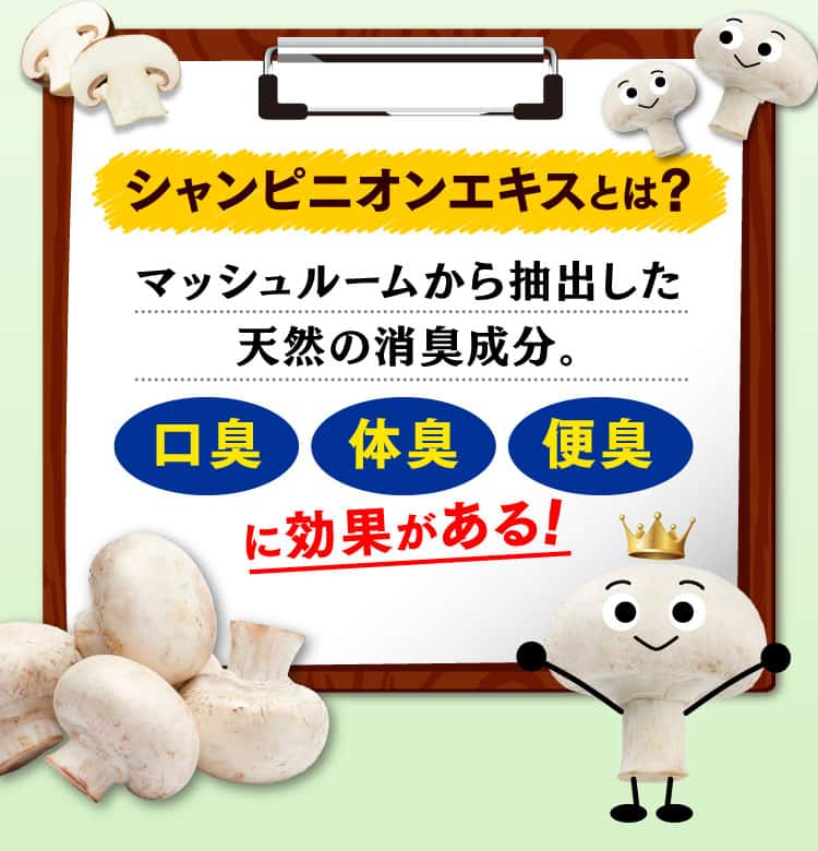 シャンピニオンエキスとは？
