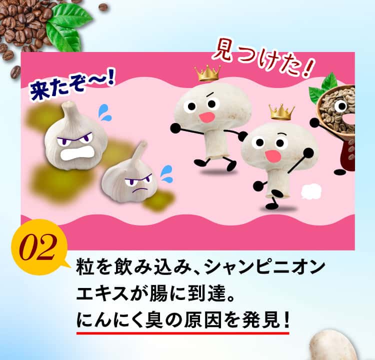 シャンピニオンエキスが腸に到達、にんにく臭の原因を発見！