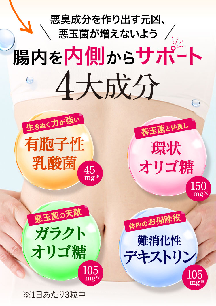体を内側からサポートする4大成分