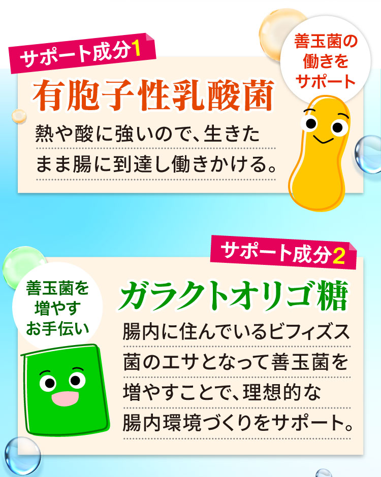 有胞子性乳酸菌／ガラクトオリゴ糖