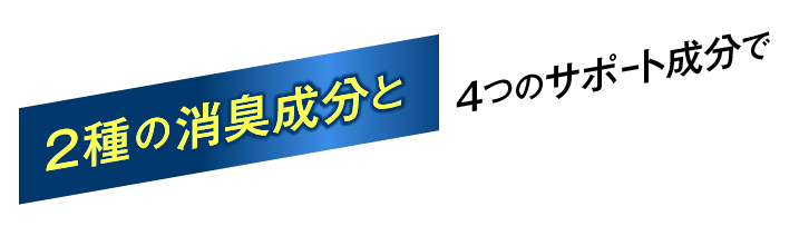 2種の消臭成分と4つのサポート成分で