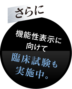 さらに、機能性表示に向けて臨床試験実施中。