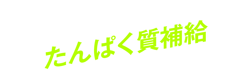 たんぱく質補給