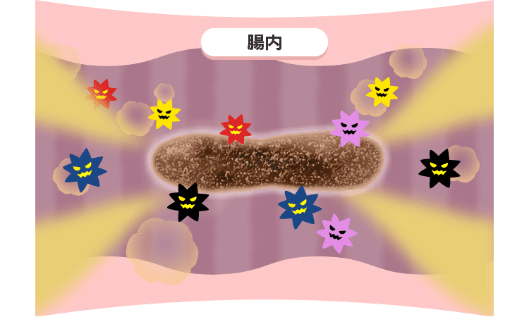 腸内