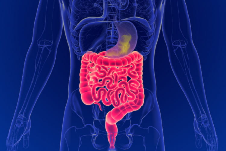 匂いの発生源が胃から腸に移動する様子