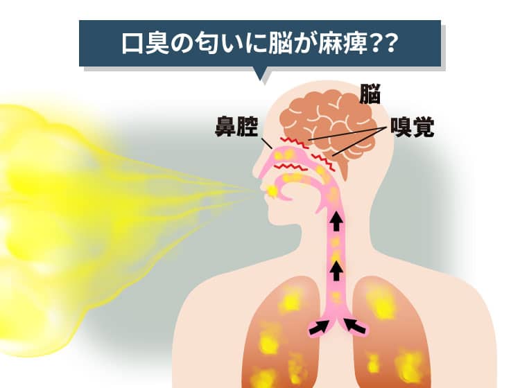 口臭の匂いに脳が麻痺