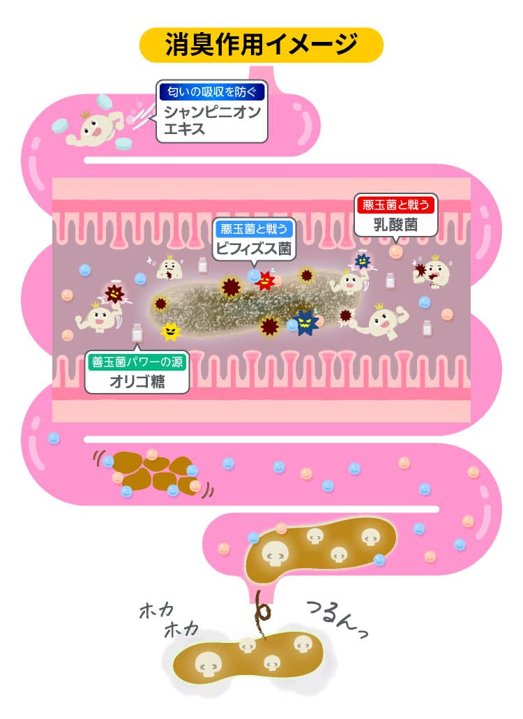 楽臭生活の消臭作用のイメージ
