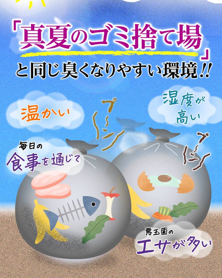 「真夏のゴミ捨て場」と同じ臭くなりやすい環境！！