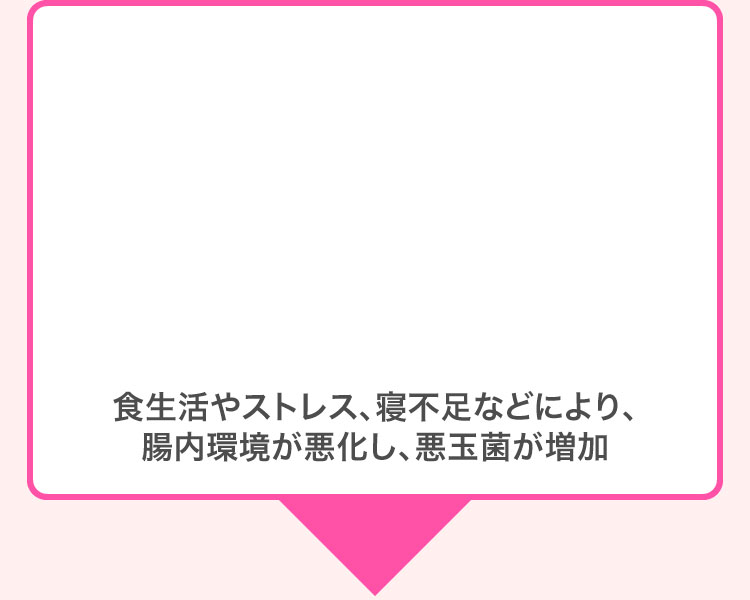 食生活やストレス、寝不足などにより、腸内環境が悪化し、悪玉菌が増加