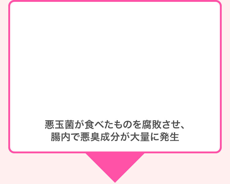 悪玉菌が食べたものを腐敗させ、腸内で悪臭成分が大量に発生