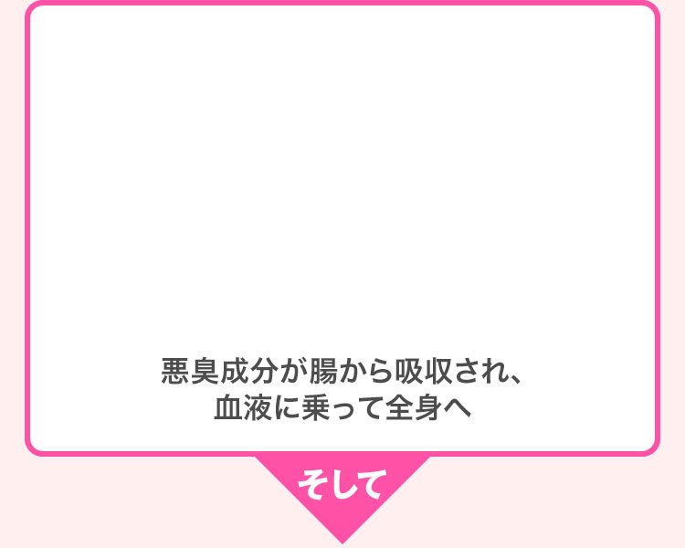 悪臭成分が腸から吸収され、血液に乗って全身へ