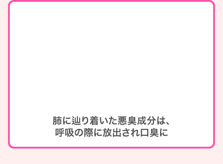 肺に辿りついた悪臭成分は、呼吸の際に放出され口臭に