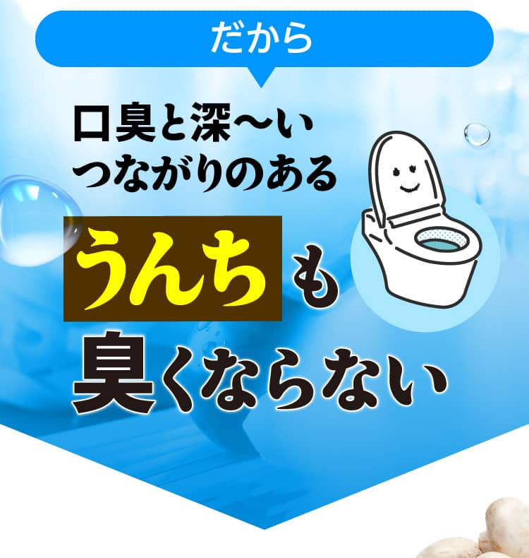 だから腸内で悪臭を抑える！