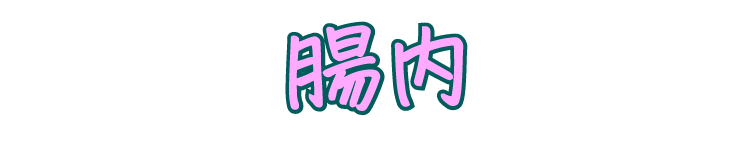 多くの専門家が指摘 体内の悪臭の発生源は全て腸内だった。