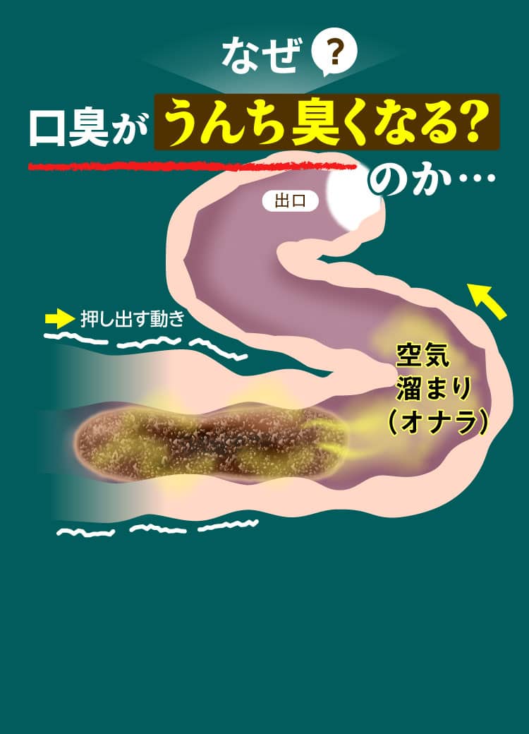 ではなぜうんち臭くなる？のか…（出口に向かって押し出す動きと発生する空気溜まりの図）