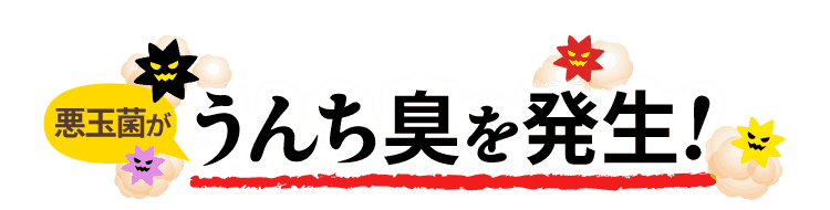 悪玉菌がうんち臭を発生！