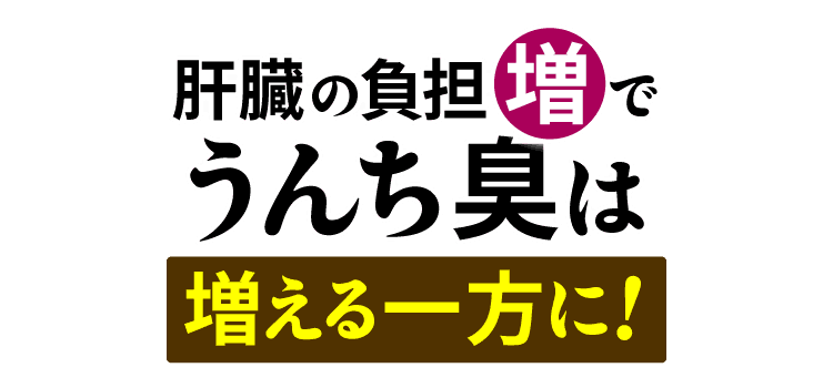 肝臓の負担増でうんち臭は一層強くなる！