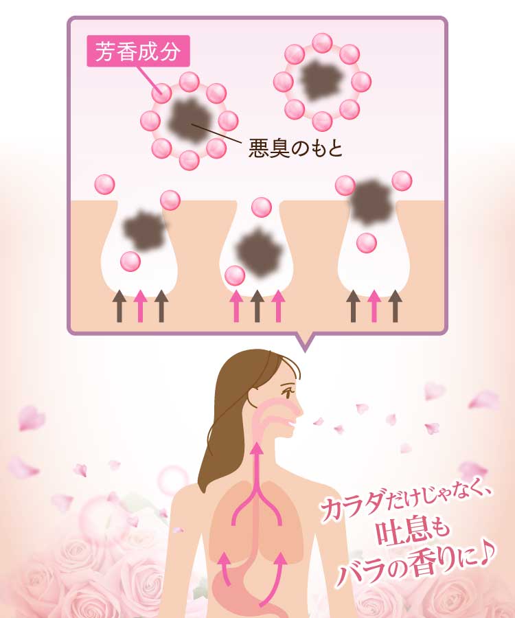 カラダだけじゃなく、吐息からもバラの香りが♪