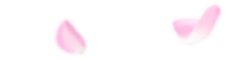 花弁イメージ