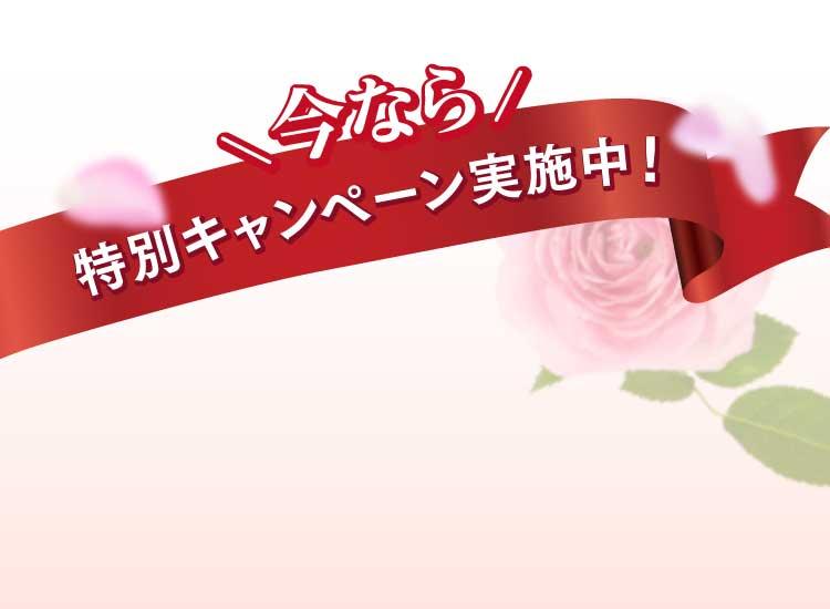 今なら特別キャンペーン実施中！初回20％OFF今すぐ申し込む