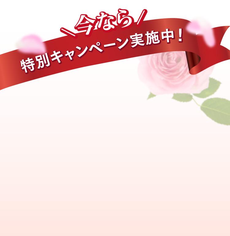 今なら特別キャンペーン実施中！